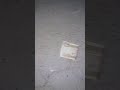 ١٤ أكتوبر ٢٠١٩
