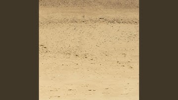 Thumbnail of Your Voice on the Phone (The Last Time)