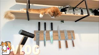 New Kitchen & Magnetic Knife Holder (🔨DIY vlog)