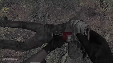 DayZ Load your Gun or die