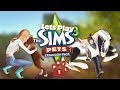 تحميل لعبة المحاكاة The Sims 3 Pets مجانا