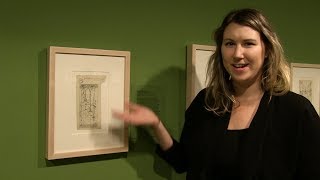 Alyssa Ash on "neurons in the cerebral cortex"