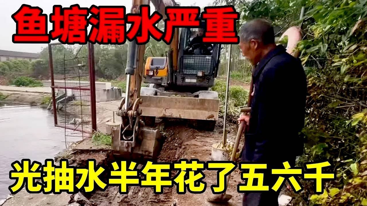 接到粉丝求助，鱼塘漏水严重，光抽水半年花了五六千。#鱼塘堵漏 #堵漏圣手#挖掘機 #挖掘機日常 #生活vlog #挖机