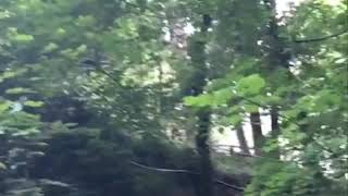 Nesli̇can Tay Veda Kli̇bi̇...