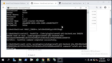 HashiVault on Windows
