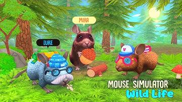 Mouse Simulator   Wild Life Simulator By Area730 Entertainment