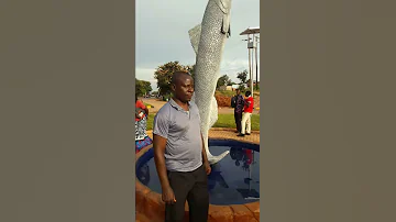 MWANGALIE SAMAKI WA KIGOMA 