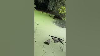 Green water wins everytime