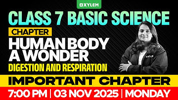 Class 7 Basic Science | Chapter: Human Body – A Wonder | Digestion and Respiration | Xylem Class 7