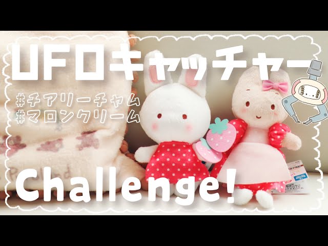 サンリオ - 未使用　希少　サンリオ　きせかえ　マスコット　チアリーチャム　マロンクリーム 未使用 希少 サンリオ きせかえ マスコット チアリーチャム