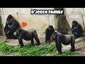 D'jeeco is the center of attention 😆迪亞哥總是大家追隨的對象
