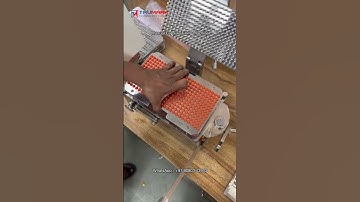 Manual 300-Hole Capsule Filler | Step-by-Step Capsule Filling Process 💊