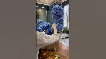 Cách cắm giỏ hoa tú cầu #florist #flowerarrangement #shophoatucuong #soctrang #shorts