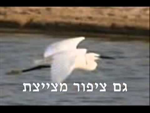 שיר תודה לה&rsquo; עם קליפ מקסים!!