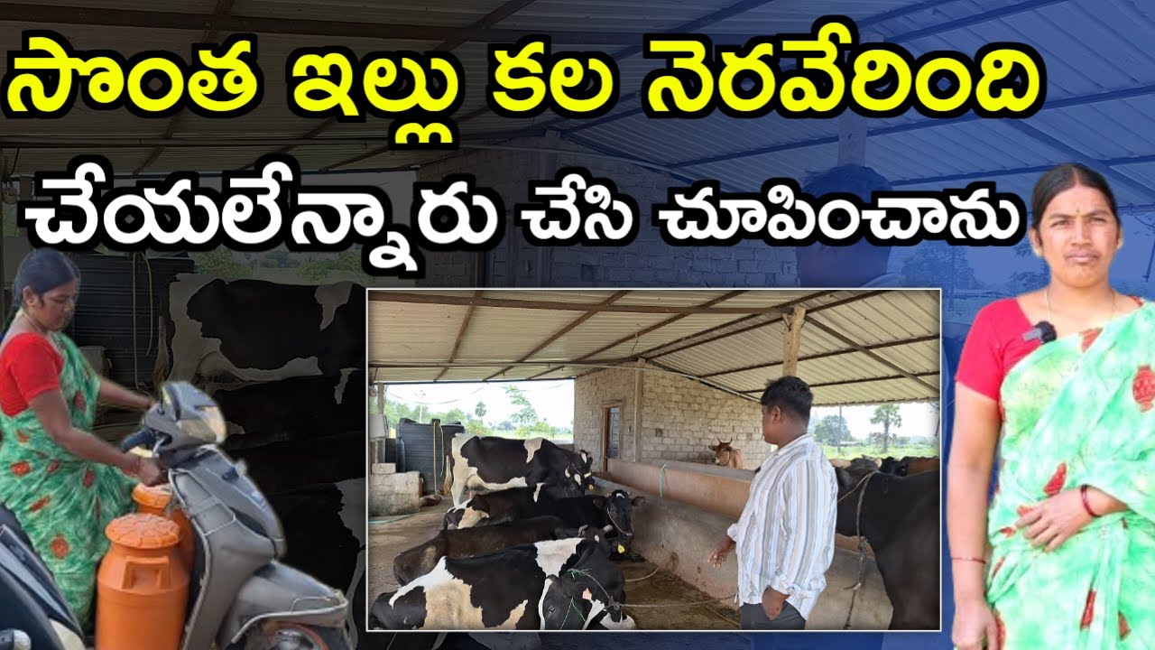 ఏడ్చిన రోజులెన్నో women successful dairy farm @MalleshAdla