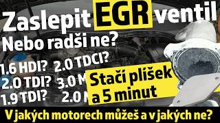 Jak zaslepit EGR ventil? Proč jo a proč bys to neměl dělat? screenshot 3