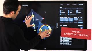 GestureWorks Flash 4.1 Net Worth
