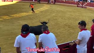 Último de Tudela. Encierro Prieto de la Cal y vacas Sancho Abarca