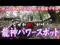 【⚠️強制開運】この動画が出現したら強運です※見たら1分以内に再生して下さい⚠️もし逃したら二度とありません※次々と願いを叶えてくれると噂のパワスポ🌈✨⛩️奈良県龍田大社【遠隔参拝】【リモート参拝】