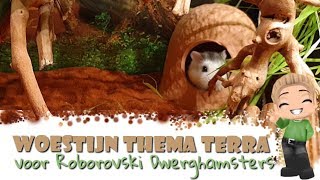 🌵 Woestijn thema voor de Roborovski Dwerghamsters Familie 🌵 Woestijn thema voor de Roborovski Dwerghamsters Familie