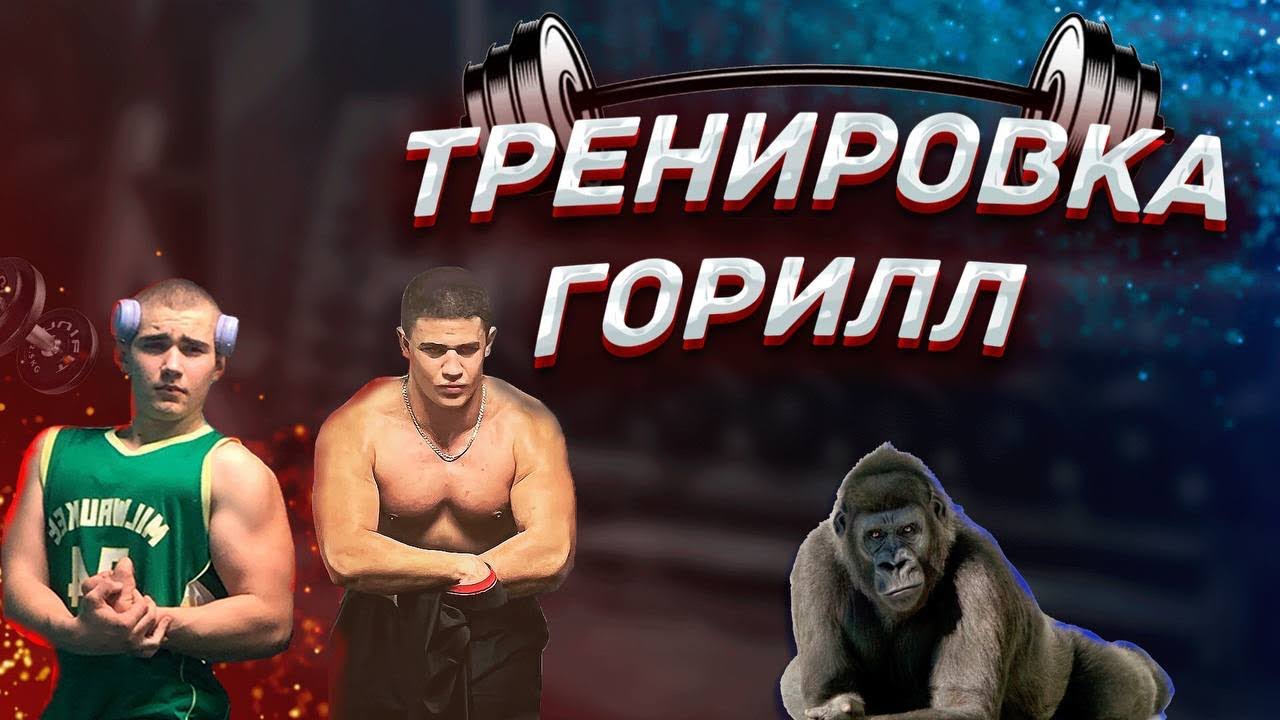 Rapidcuts �������: ����.
