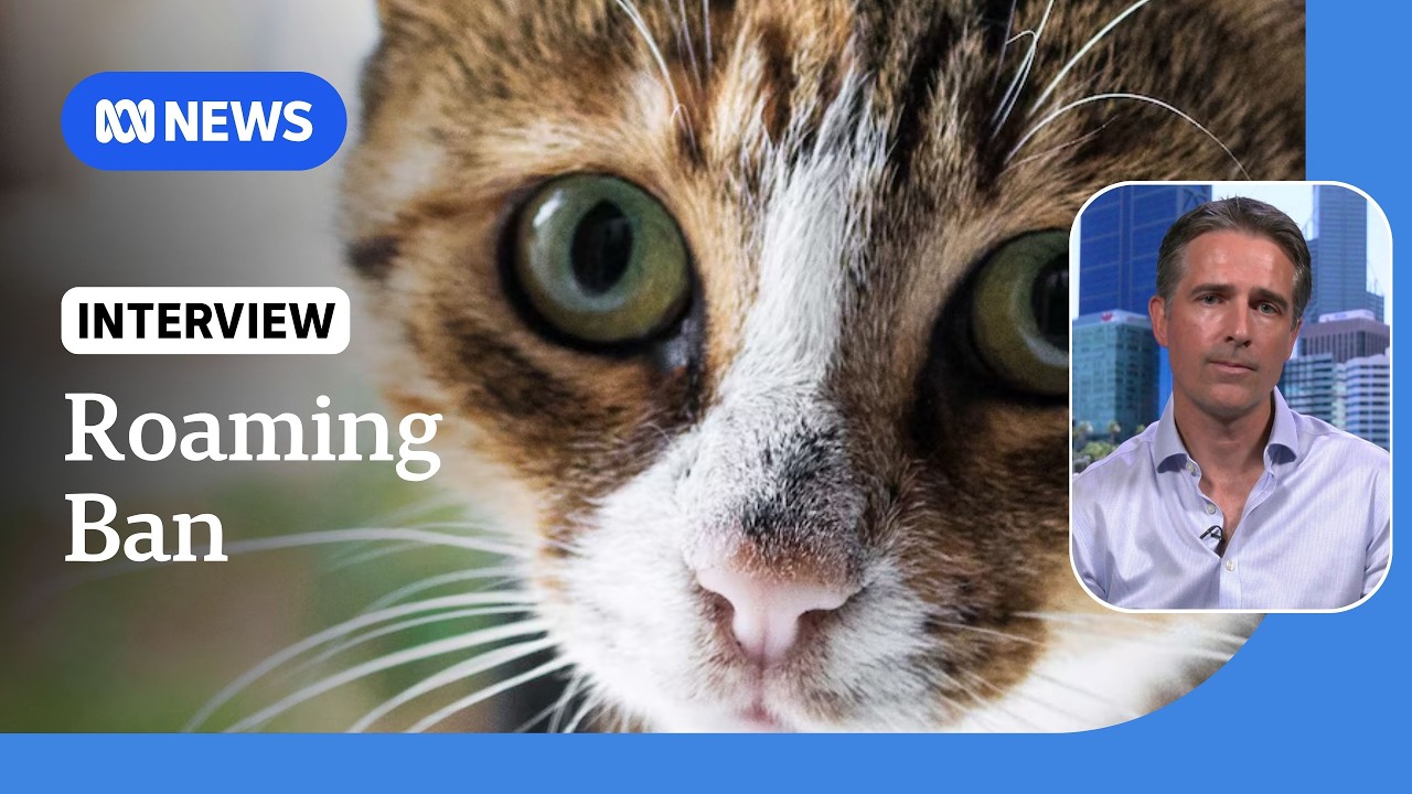 WA could stop cats roaming under proposed legislation | ABC NEWS