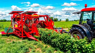 Incredible Harvesting Machines Use In Farming  Modern Agriculture Inventions