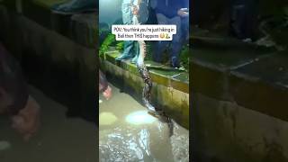 Most people have no idea Bali is covered in snakes🐍😱  #thailand #bali #travel #snake #asia