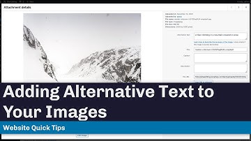 How to Add Alternative Text to Your Images