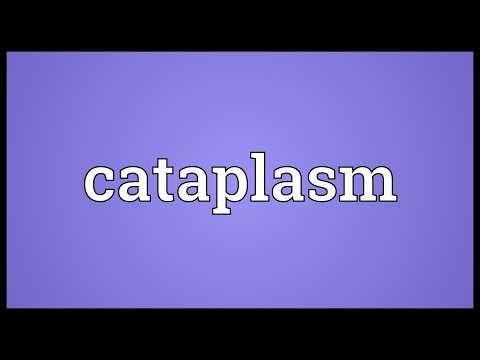 Header of cataplasm