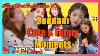 8 minutes of Secret Number Soodam Moments and Try Not to Smile Because of Her Behavior - SN SHOW