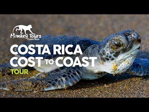 Costa Rica Coast to Coast Tour - YouTube