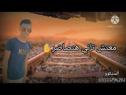 حلات واتس صباح الفل مش شايف