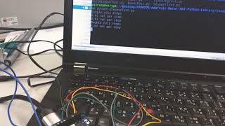 Adafruit DC and Stepper Motor HAT for Raspberry Pi