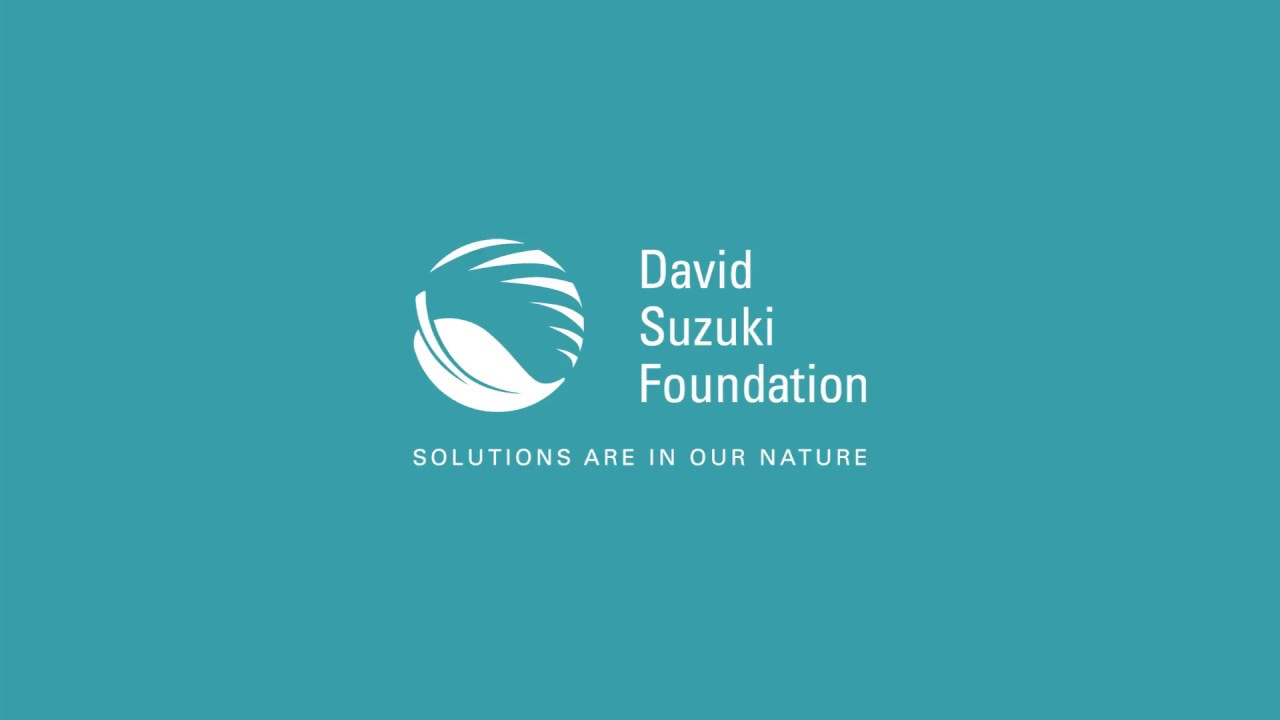 David Suzuki Foundation