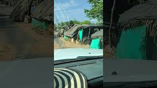 Creciente Del Rio pobreza  triste   Colombia  Mojana En sucre horse  pesca animals