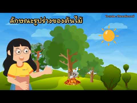 หน่วยต้นไม้ที่รัก ช่วงกิจกรรมเสริมประสบการณ์