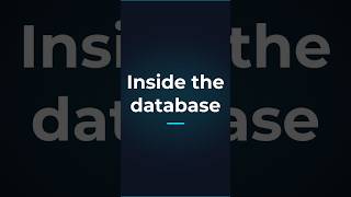 WordPress Database Basics: The Tables Explained