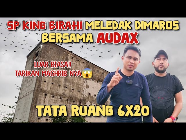 MAROS KEMBALI MELEDAK BERSAMA AUDAX & SP KING BIRAHII‼️Tarikan maghrib nya seng ada lawan😁👍 class=