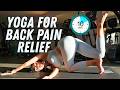 Yoga for Back Pain Relief | Gentle Stretches for People Who Sit All Day
