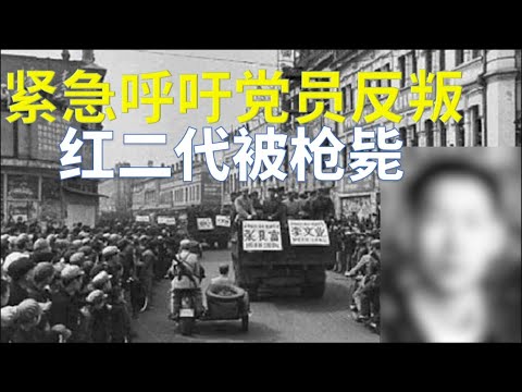 反賊就在賊窩裡！這位義士良知尚存 敢說出真話 難能可貴  252集