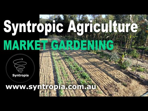 Syntropic Farming - Market Gardening