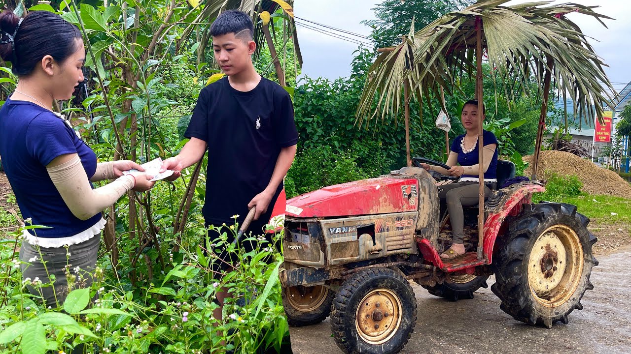 F-220 YANMAR tractor left there for more than 10 years