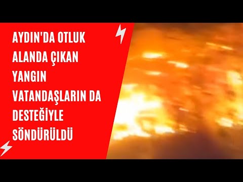 Aydın'da otluk alanda