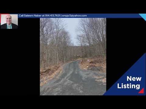 219 Bailey Road, Jewett, NY home video tour