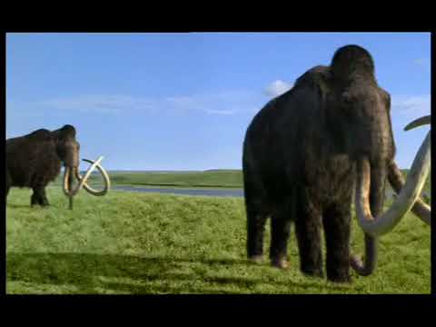Journey to the Ice Age マンモスとその他の野生の動物 Journey to the Ice Age マンモスとその他の野生の動物 Amazon