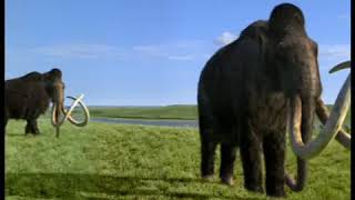 Walking with Beasts Se1 - Ep06 Mammoth Journey - Part 02