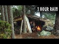 🌧️Camping in RELAXING RAIN: 1 Hour of Rain &amp; Nature Sounds for Sleep and Calm