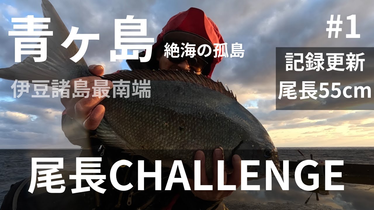 【尾長チャレンジ＃1】フカセ釣りで尾長グレ55cm｜伊豆諸島｜絶海の孤島｜青ヶ島
