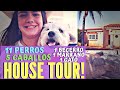 HOUSE TOUR!! / 11 PERROS, 5 CABALLOS, 1 BECERRO, 1 MARRANO Y 1 GATO.